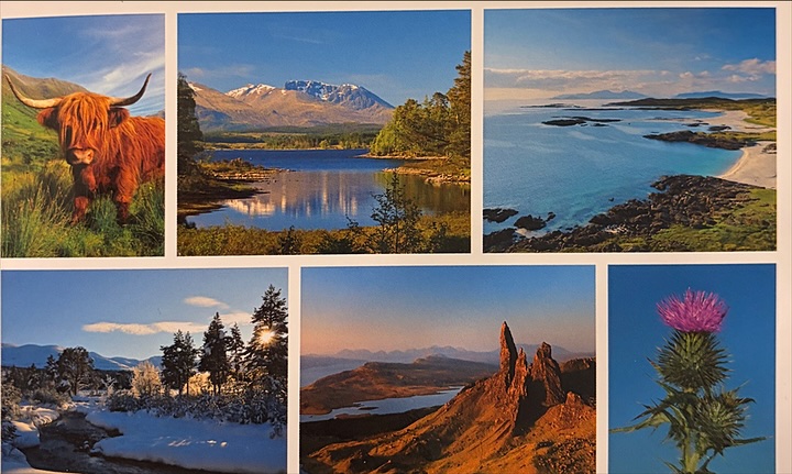 Scotland: a Highland cow, lochs, the Old Man of Storr and a thistle