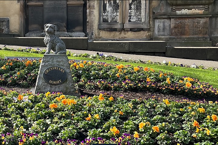 Greyfriars Bobby, ringed with spring flowers